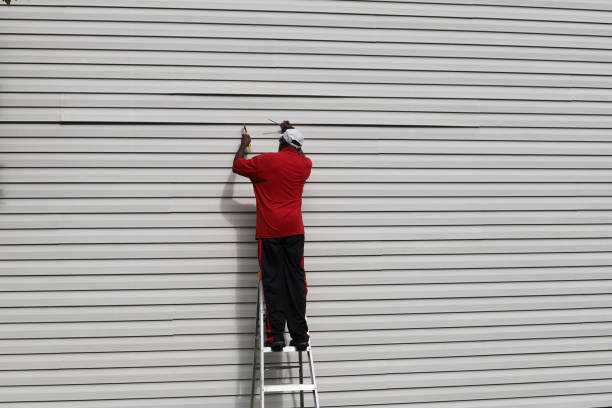 Best Siding Painting and Refinishing  in Tooele, UT